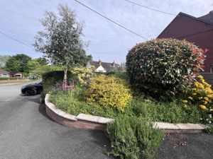 Photo 16- click for photo gallery